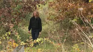 Découverte des forêts 