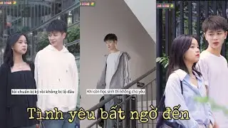 Phi  Phi và Gia Phi Hạm ( Cầu Cầu) | Tình yêu bất ngờ đến | Vietsub