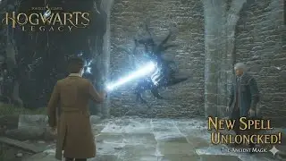 The Ancient Magic Revealed 😱 | Hogwarts Legacy Gameplay Part 2 🪄