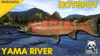 Yama River Match fishing hotspot - Russian Fishing 4
