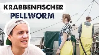 Ein Tag unterwegs mit den Krabbenfischern von Pellworm