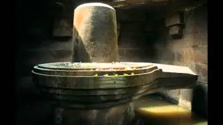 50 08 (a) sari sarigari sarigamagari
