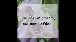 Stap binnen in een magische wereld vol inspirerende weetjes en quotes,
