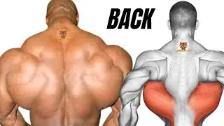 4 BEST BACK WORKOUT AT GYM / LE MEILLEUR PROGRAMME MUSCULATION DU DOS