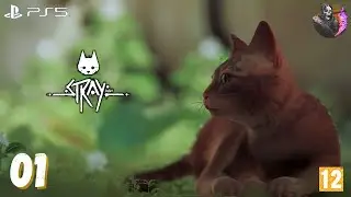 Stray - 01 - À l'intérieur du mur