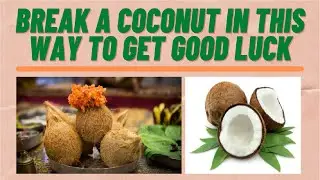 What a broken coconut tells | Break coconut this way to get good luck | Benefits of Coconut Breaking