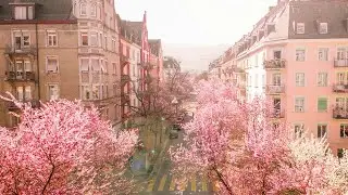 Zurich - Guide to Europe