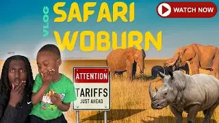 A Day at Woburn Safari Park|the 02… and the Arcade Got Competitive!