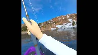 Thanks for the 200+ subs💜 Realvr fishing Ep.4