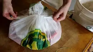 How to Garden Series 34: Storing Carrots in the Fridge