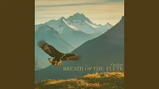 Dream Coast