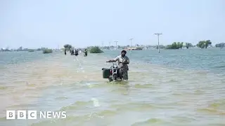 Pakistan floods: UN issues urgent appeal over 'public health emergency' - BBC News