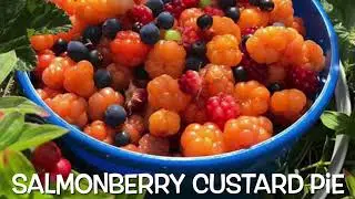 Salmonberry Custard Pie