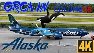 Orcas in Columbus! CMH Golden Hour Plane Spotting. Alaska Orca, Military Honor Flight and More (4K)