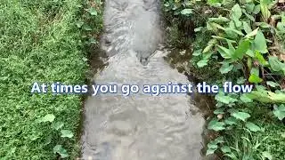 Life is Like the Flowing Stream