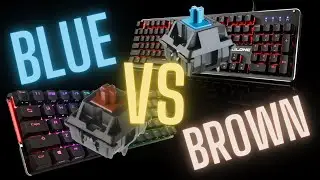 Cherry MX Blue vs Cherry MX Brown ASMR Typing Sounds for Sleep and Relaxation