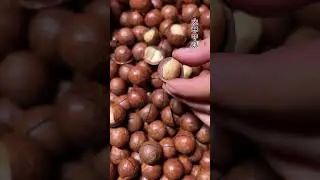 &ldquo;Fresh & Healthy Macadamia Nuts&rdquo;🍑🍅🍈#fruit #famifruit #chickenegg #food #eggrecipe #fruitrees #health