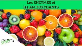LES ENZYMES ET LES ANTIOXYDANTS