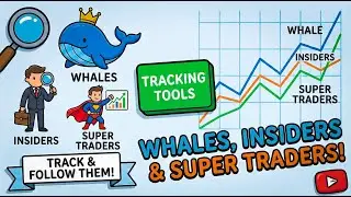 Whales, Insiders and Wizards exposed