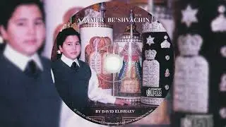 13 David Elishaev - Deror Ikra Version 2
