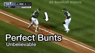 MLB | Best Bunts