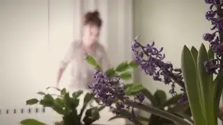 ia io - edle Bio Bettw&auml;sche aus Berlin