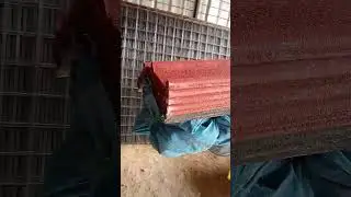hayau anu bd order khusus Priangan Timur