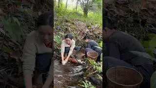 ngebolang sore dihutan belakang rumah