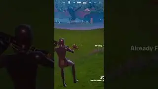 Daily Fortnite Win (Day 19)