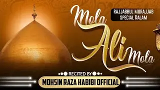 Manqabat e Maula Ali | Maula Ali Maula | Mohsin Raza Habibi