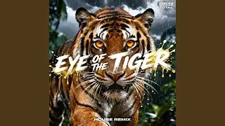 Eye Of The Tiger (House Remix)
