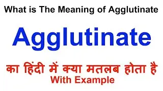 Agglutinate Meaning in Hindi | Agglutinate Definition | Agglutinate Ka Matlab Kya Hota Hai