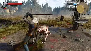 The Witcher 3 Next Gen Combat Gameplay | Xbox Series S