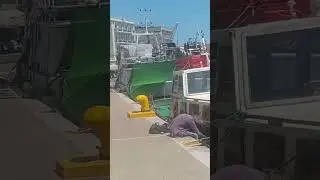 #foryou #fypシ゚viral #mytilene #lesvos #greekislands #greece #summer