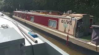The Macclesfield canal and another 'Olive' 