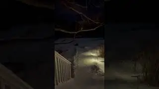 Front view of backyard snow hill ❄️⛄️pt.3