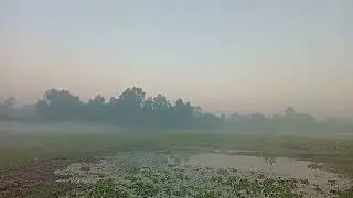 Good morning quasha Sonu parivesh. 🇧🇩😄💛