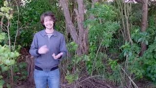 BBC Earth Presenter Search