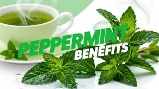 Peppermint Benefits: Refresh Your Health with This Powerful Herb 🌱✨