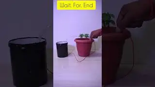 Automatic Water Irrigation Project, Smart Farming Project