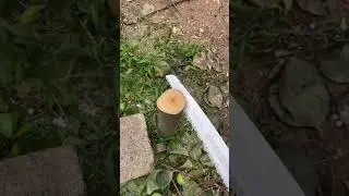 Creative DIY   Amazing tools video #short #102