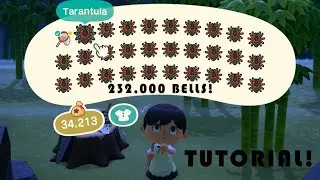 Animal Crossing: New Horizons - How to Catch + Farm Tarantulas! (Easy way to farm bells!)