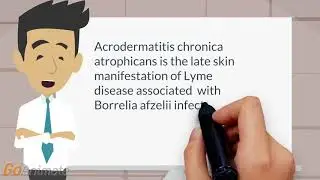 What is Acrodermatitis chronica atrophicans?