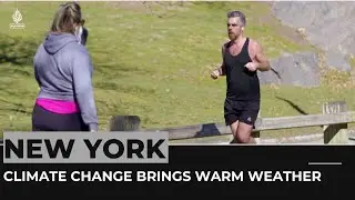 Why is it so warm this February in New York City?