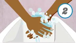Wash Hands English