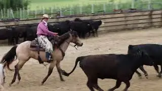 Ryan Rose Ranch Versatility Clinic and Show