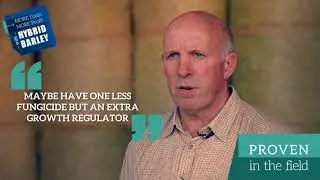 Grower Discusses How easy Hybrid Barley is to Grow