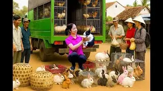 Harvesting 1000+ Rabbits After 200 Days Go to the Market Sell | Tieu Sam Free Bushcraft