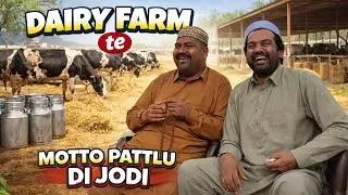 Dairy Farm Di ronak | Mottu Pattlu Di Jodi 