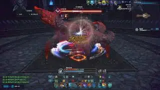 TERA Console TrainingRoom Valkyrie 473(no pet)